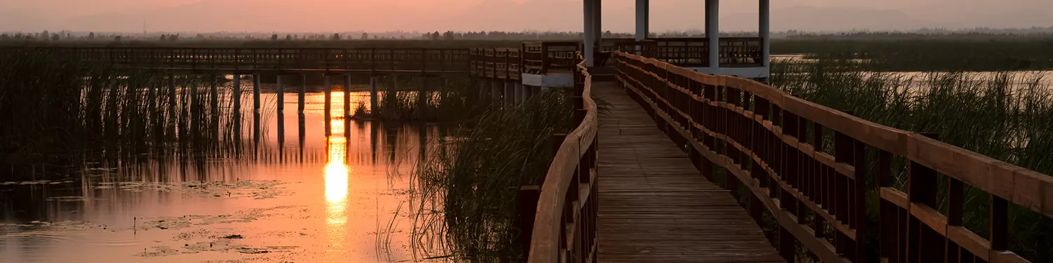 Terms and Conditions