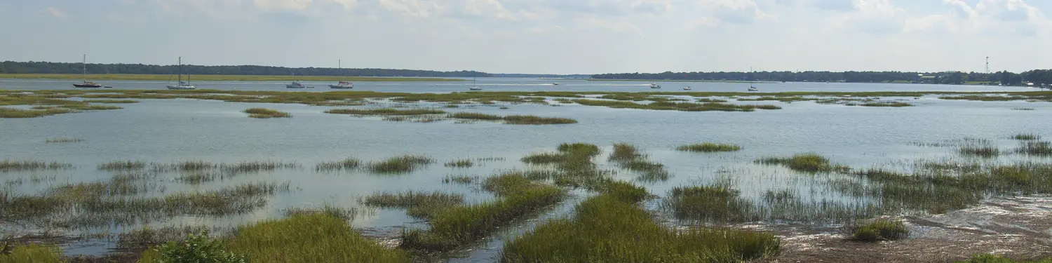 Fun Things To Do In Murrells Inlet